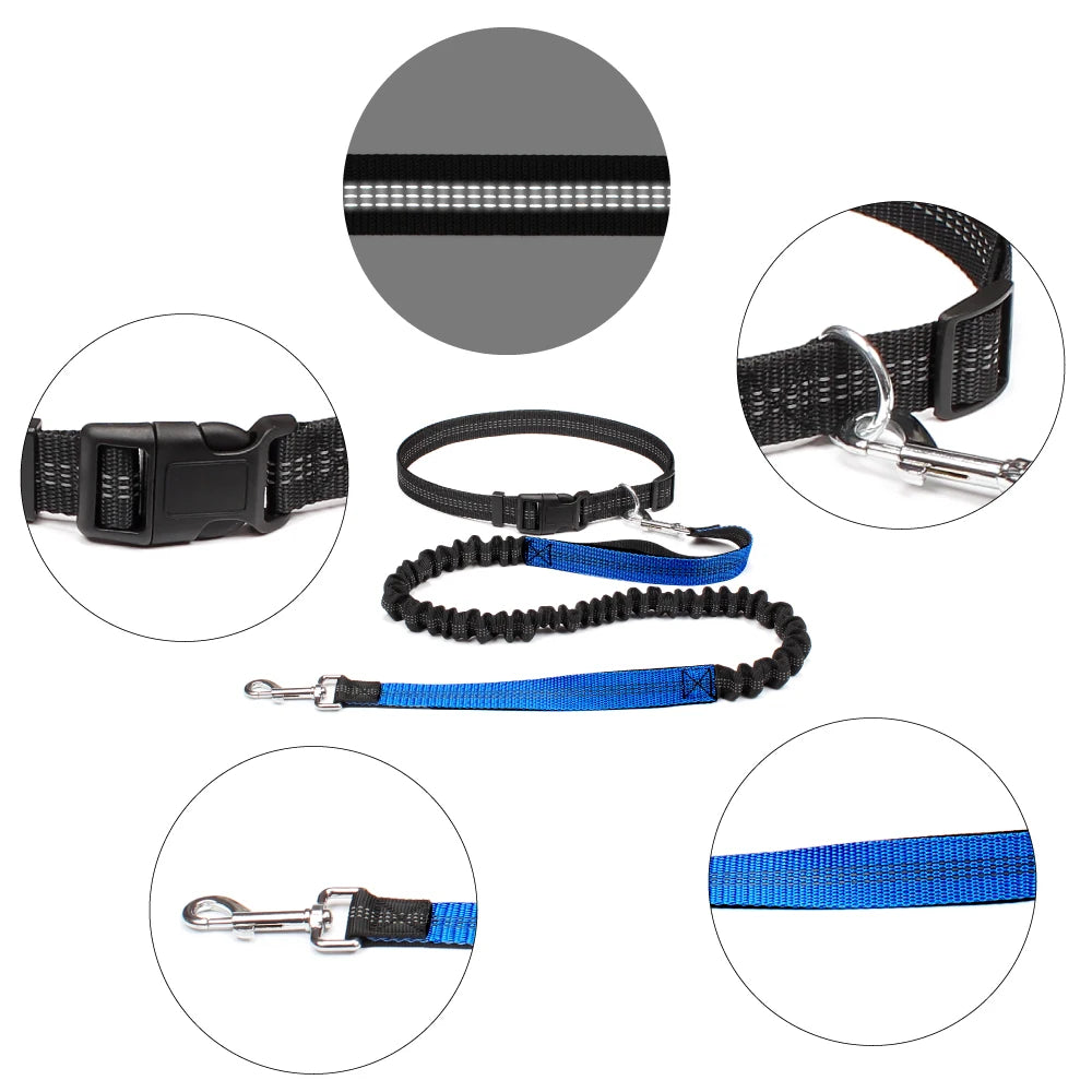 Hand Free Dog Leash