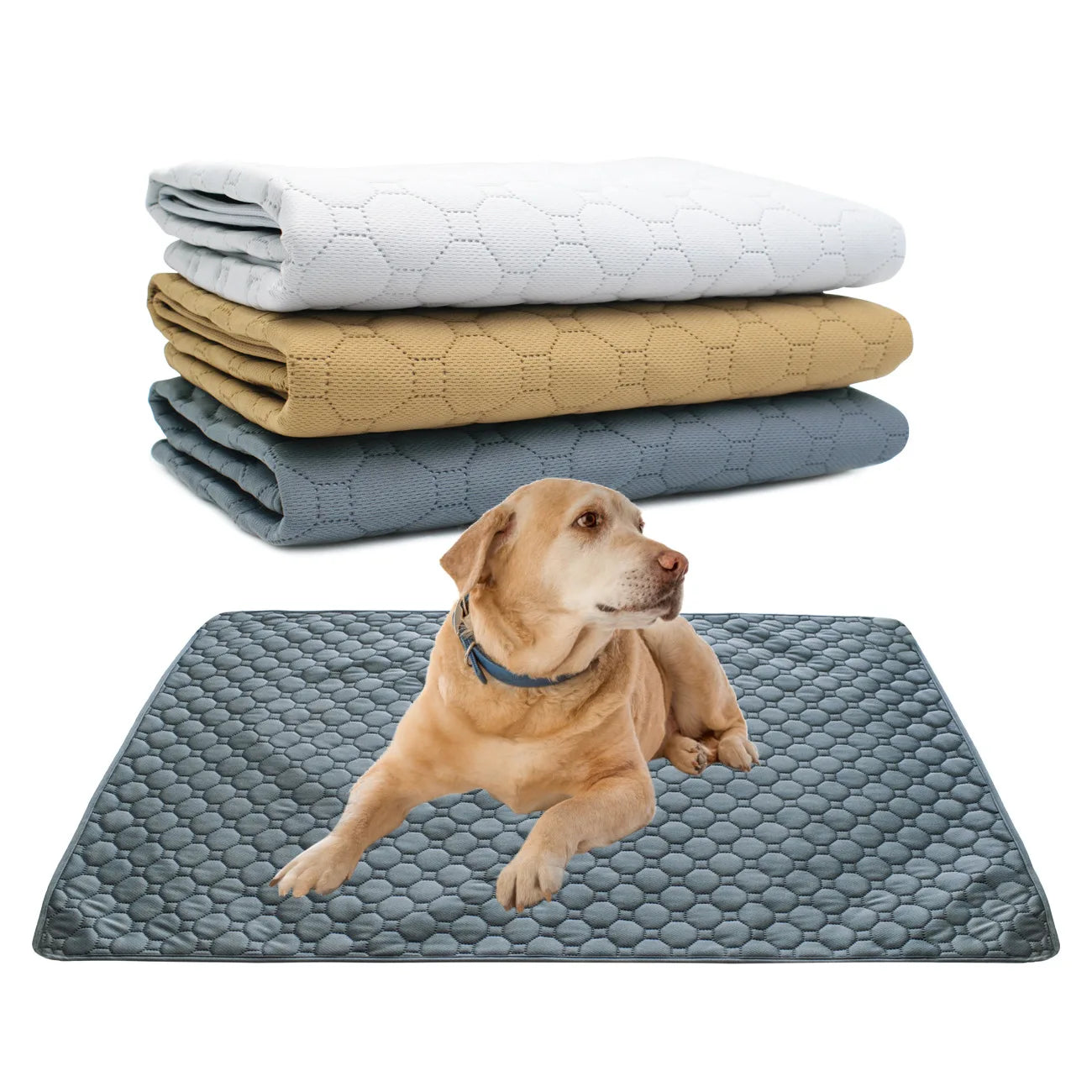 Reusable Dog Pee Pad