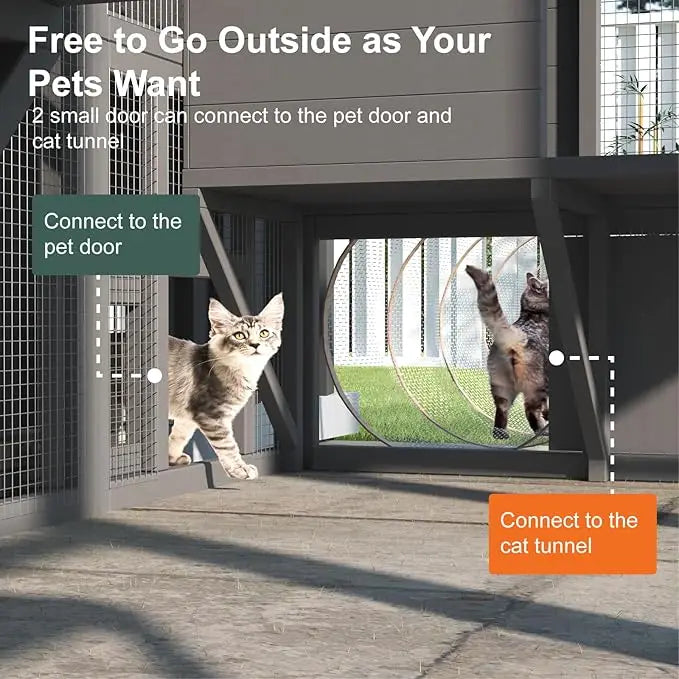 Outdoor Cat Enclosure,