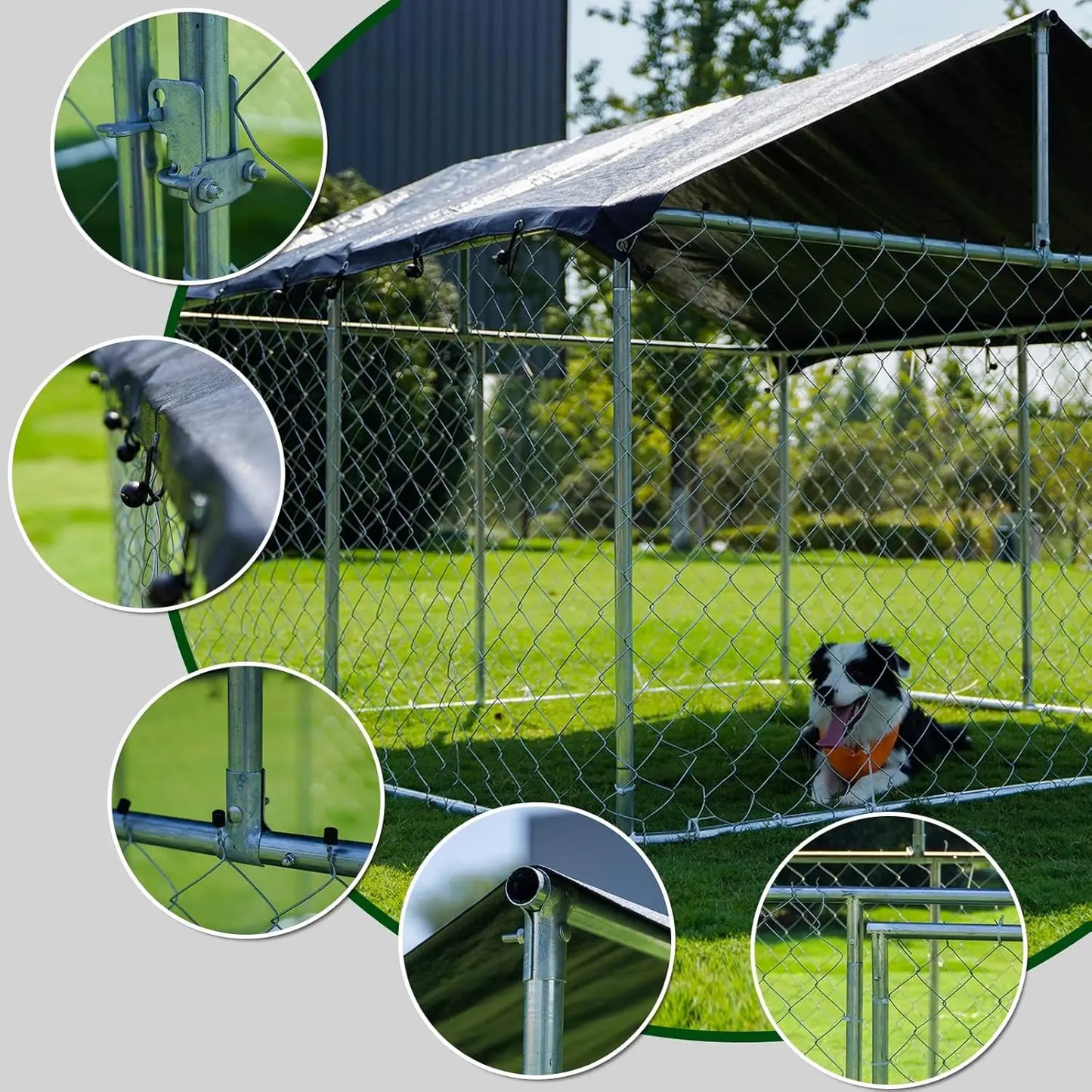 Outdoor Dog Enclosure