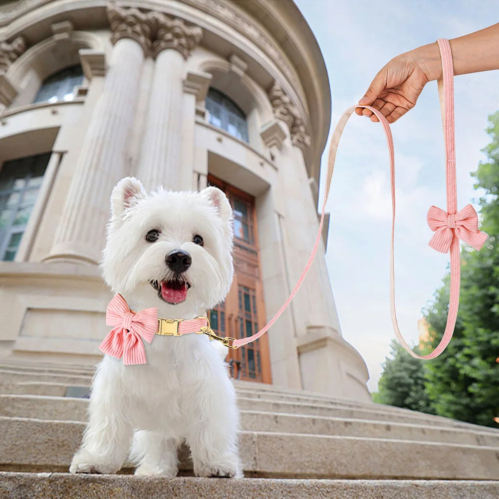 Cute Pink Dog Collar Leash Set