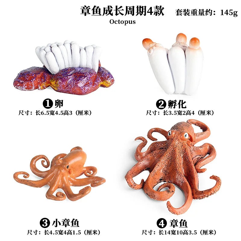 Simulation Marine Animals Ornaments