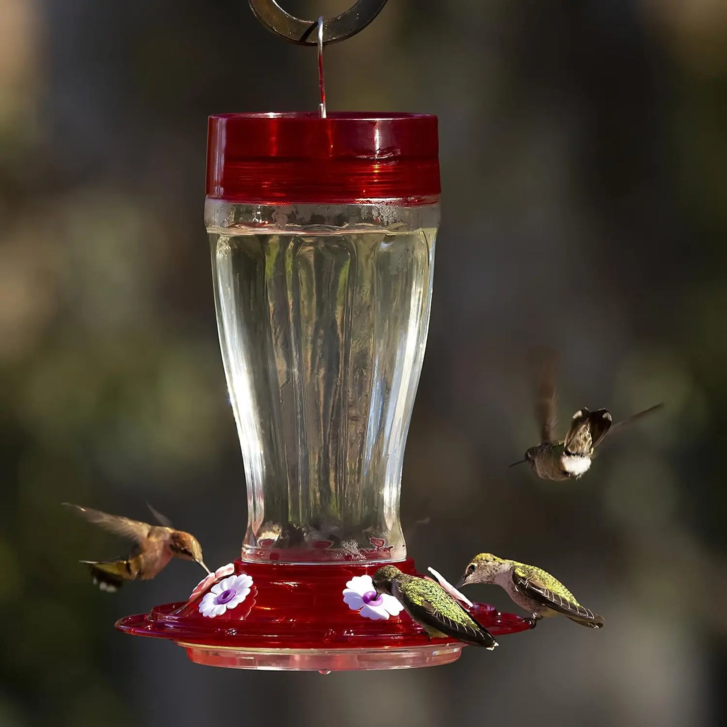 Big Gulp Hummingbird Feeder,