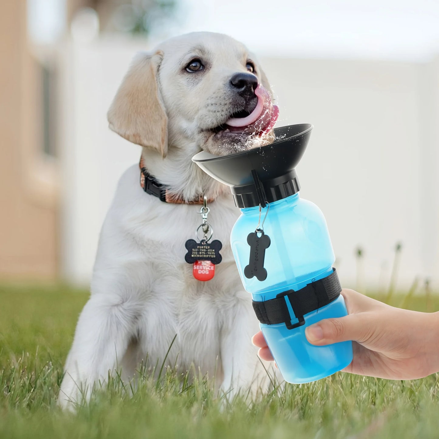 Dog Water Bottle,