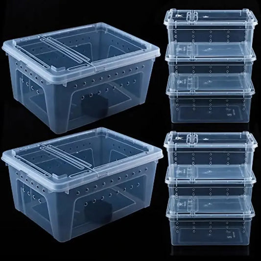 Reptile Feeding Box Plastic