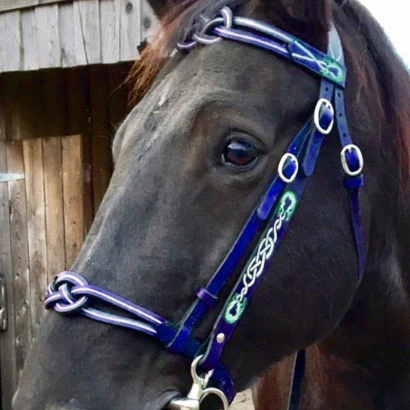 Horse Halters and Lead Ropes