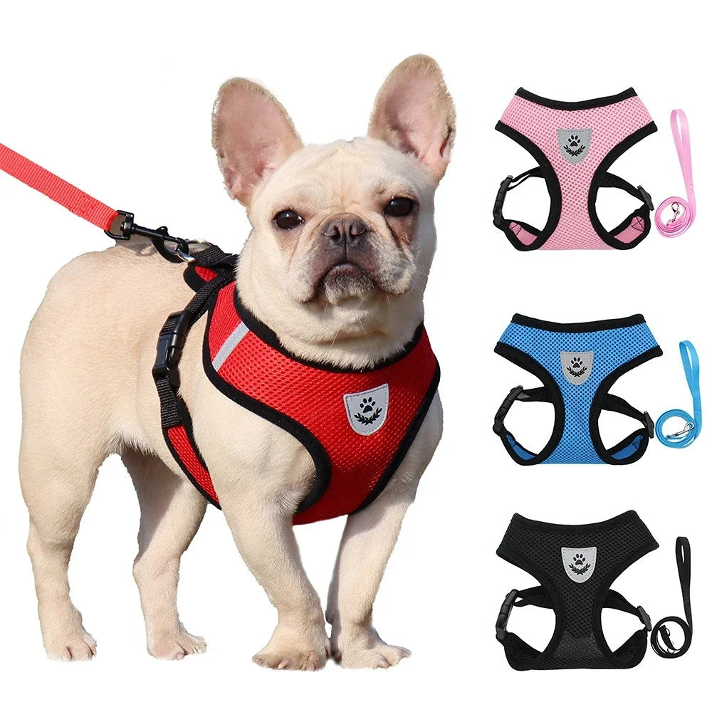 Summer Cat Dog Harness Lead