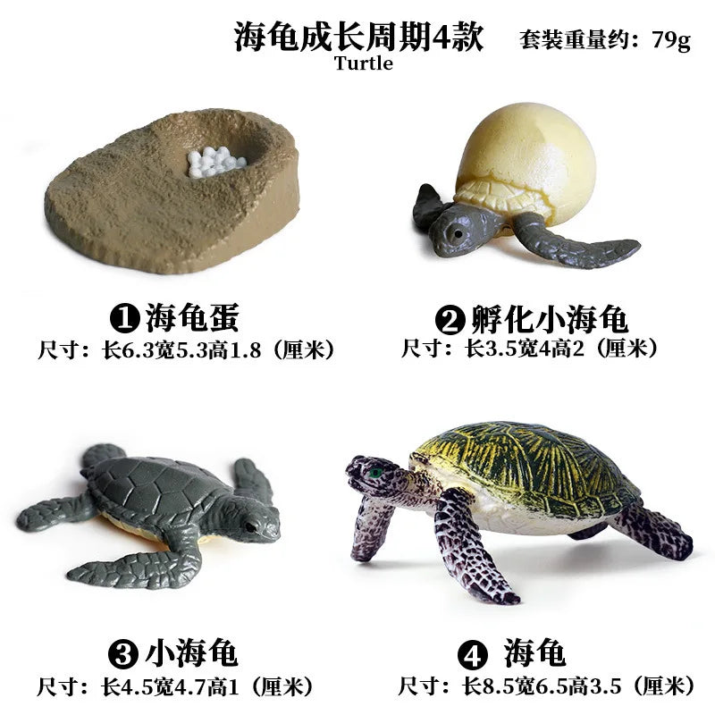 Simulation Marine Animals Ornaments