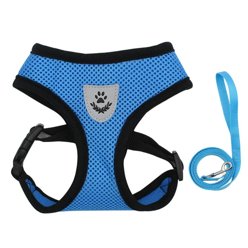 Summer Cat Dog Harness Lead