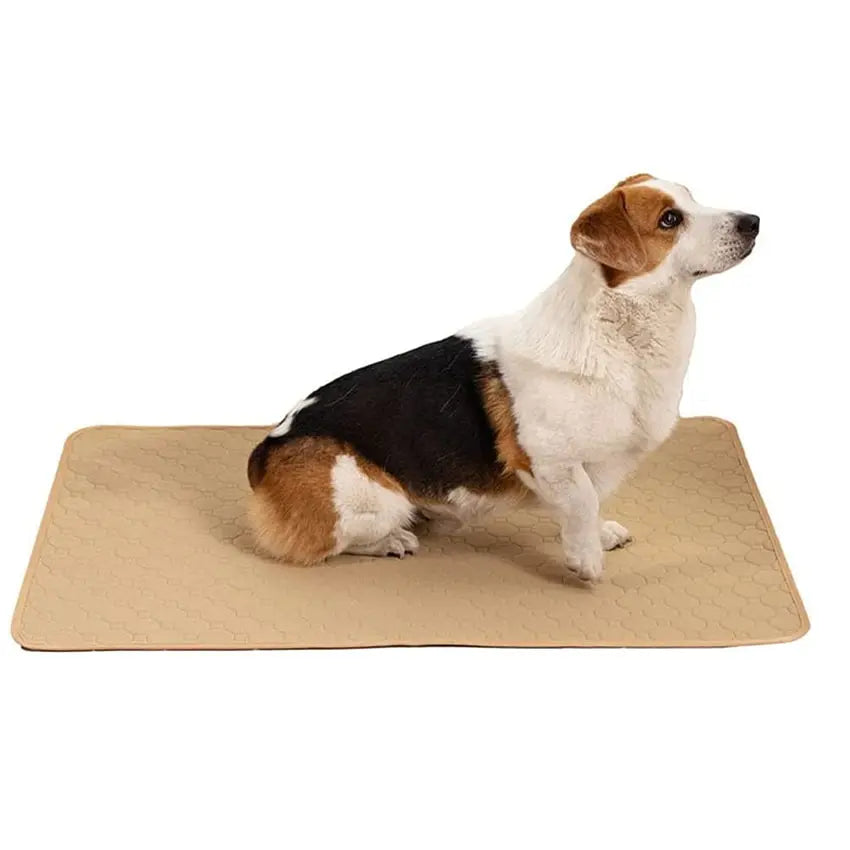 Dog Training Pad