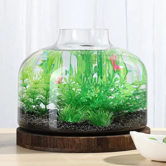 2 Gallon Glass Fish Bowl