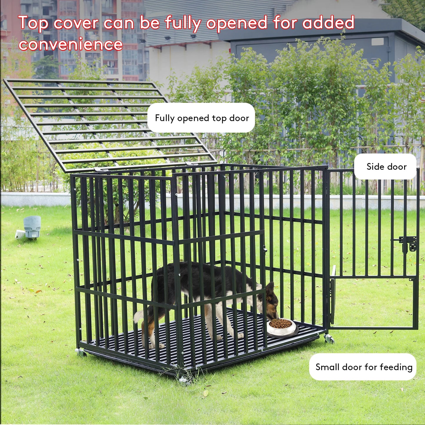 Heavy Duty Dog Crate