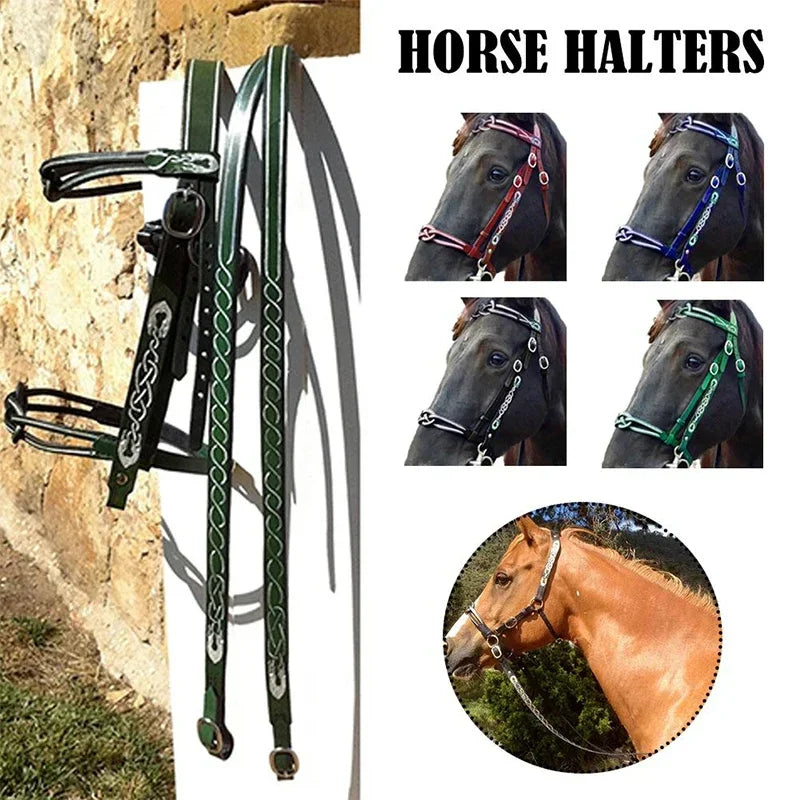 Horse Halters and Lead Ropes