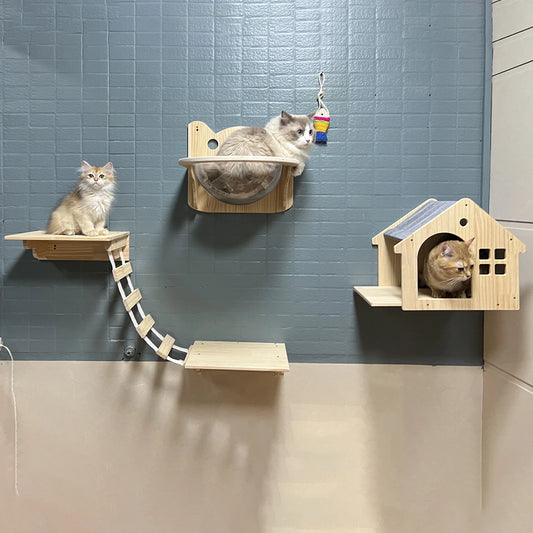 Cat Condo 1pc Wall Mount