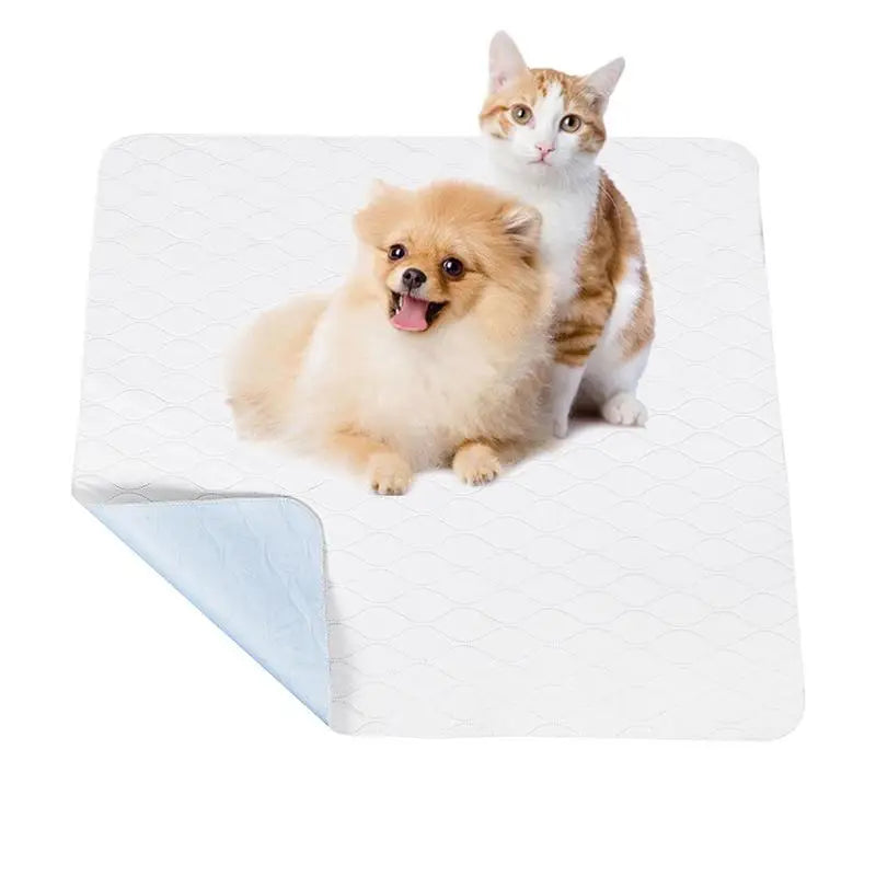 Super Absorbent Pet Diaper