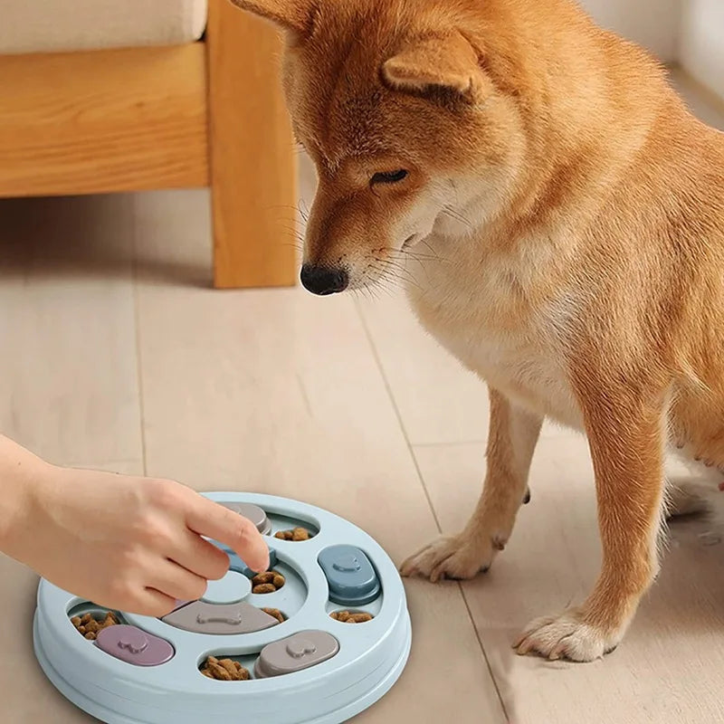 Dog Food Hiding Bowl, Slow Food Training,