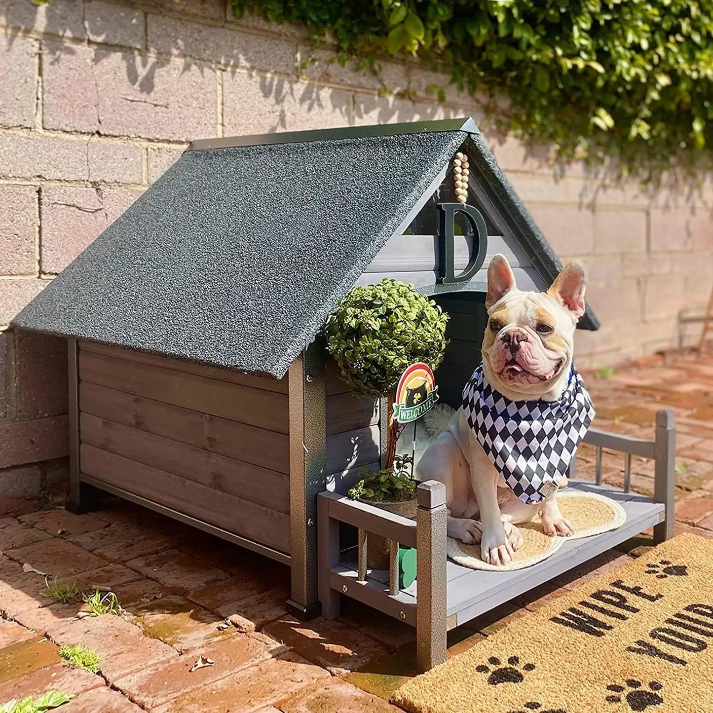 Dog House Outdoor Kennel