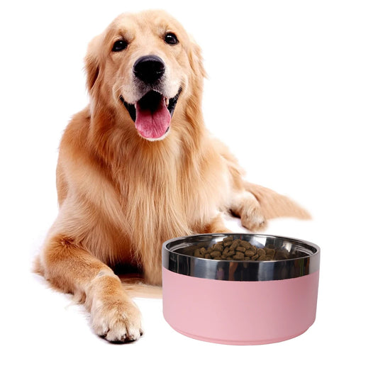 cat bowl and dog bowl