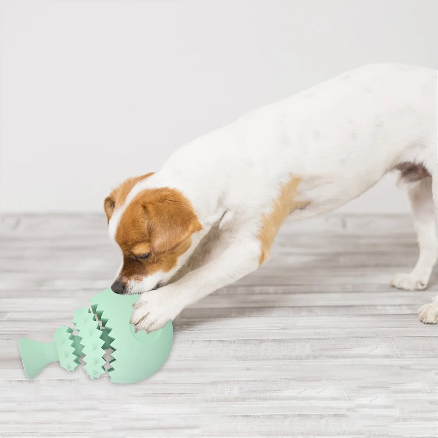 Dental Chew Toy for Cats and Dogs