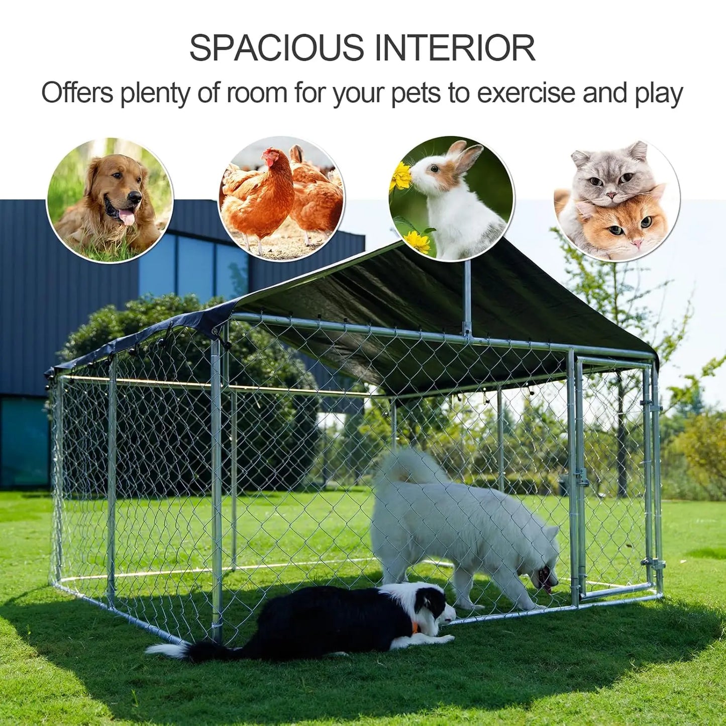 Outdoor Dog Enclosure