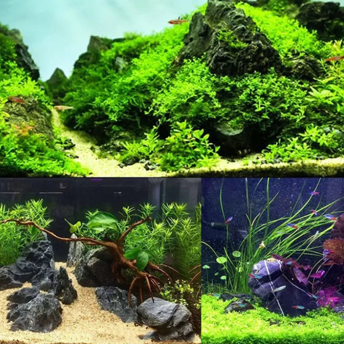 Natural Aquarium Decor Stone