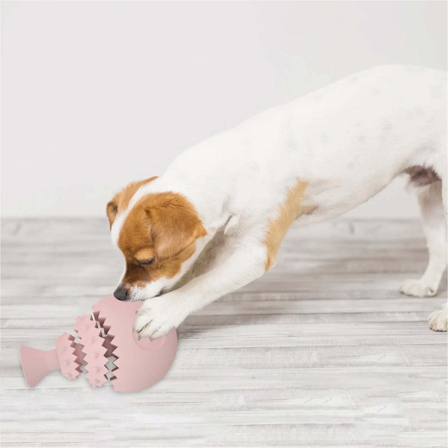 Dental Chew Toy for Cats and Dogs