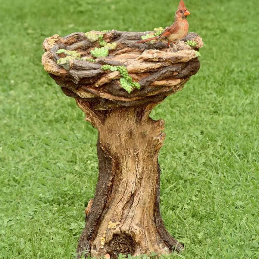 Outdoor Bird Bath Bowl