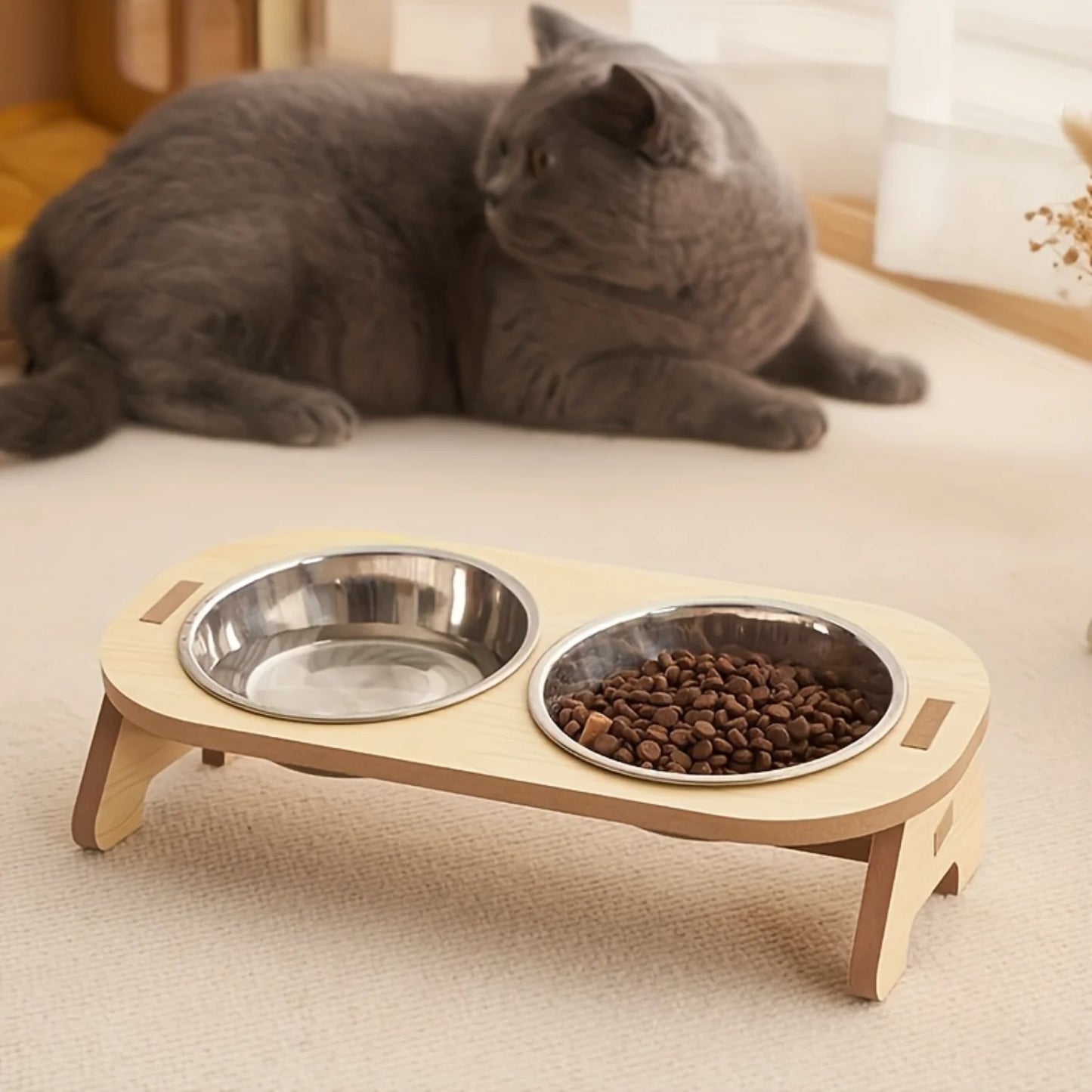 Inclined Food Bowl Water Bowl