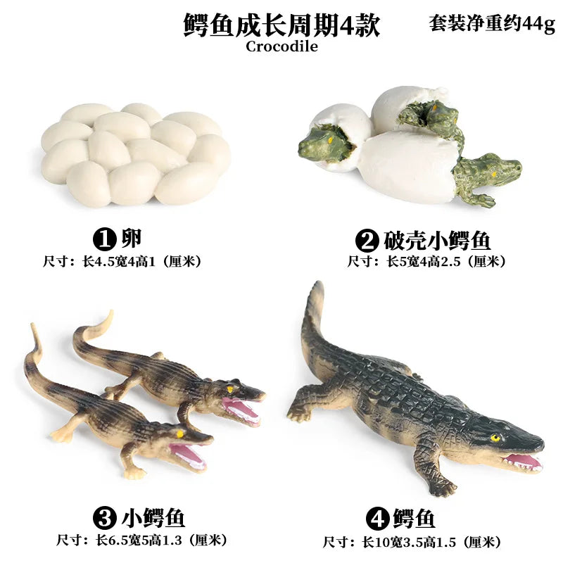 Simulation Marine Animals Ornaments