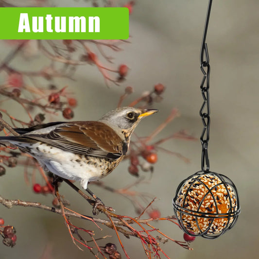 4 Pack Suet Ball Bird Feeder Set