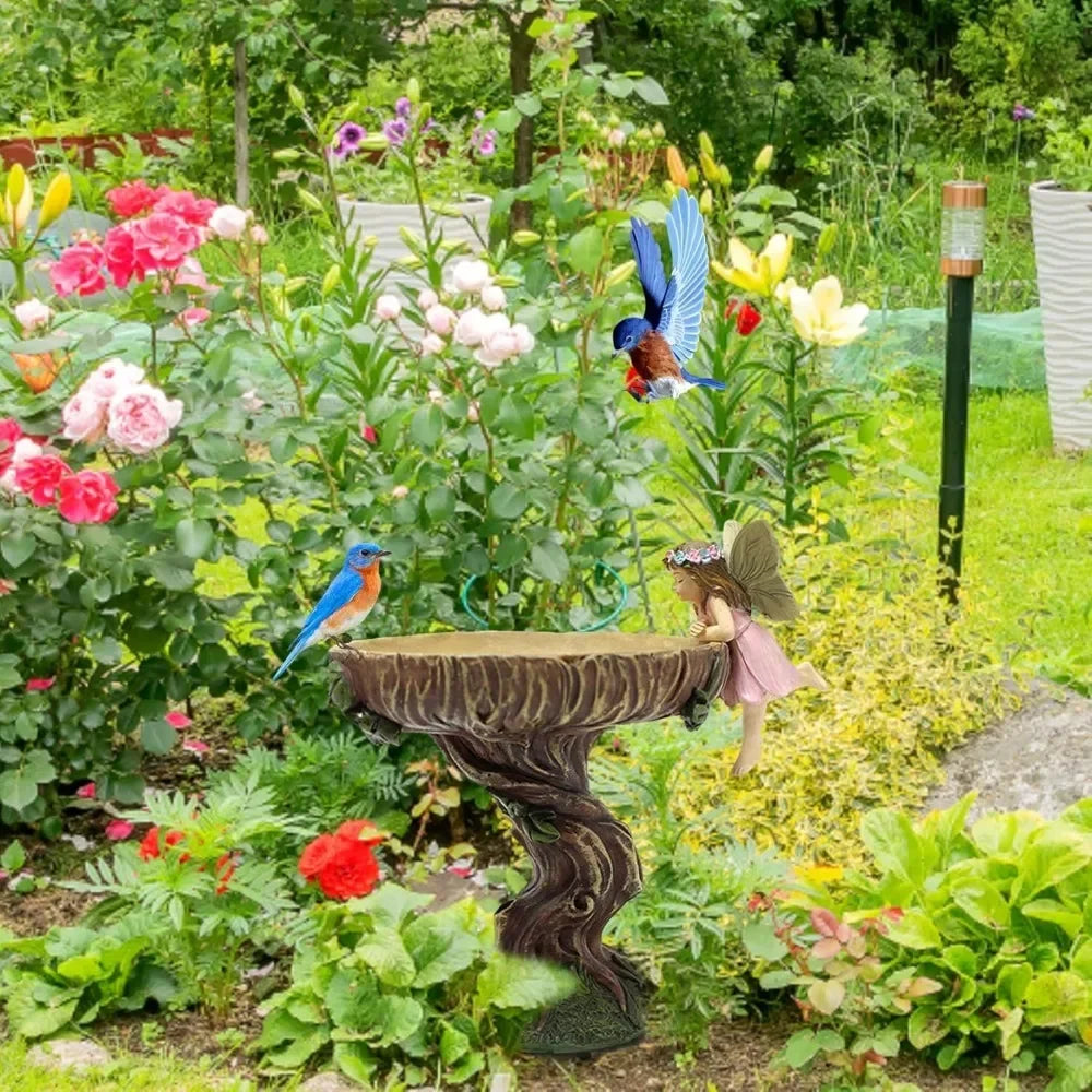 Bird Bath for Garden