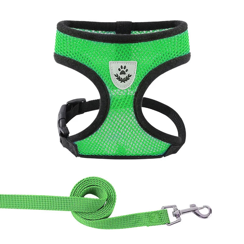 Summer Cat Dog Harness Lead