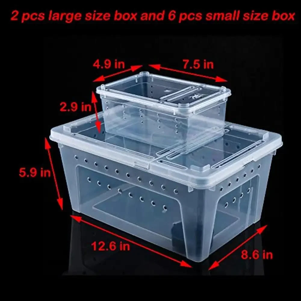 Reptile Feeding Box Plastic