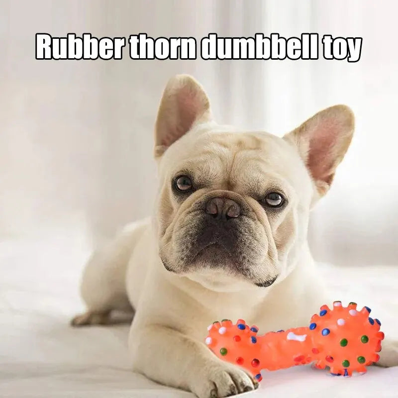 Dog Chew Toy