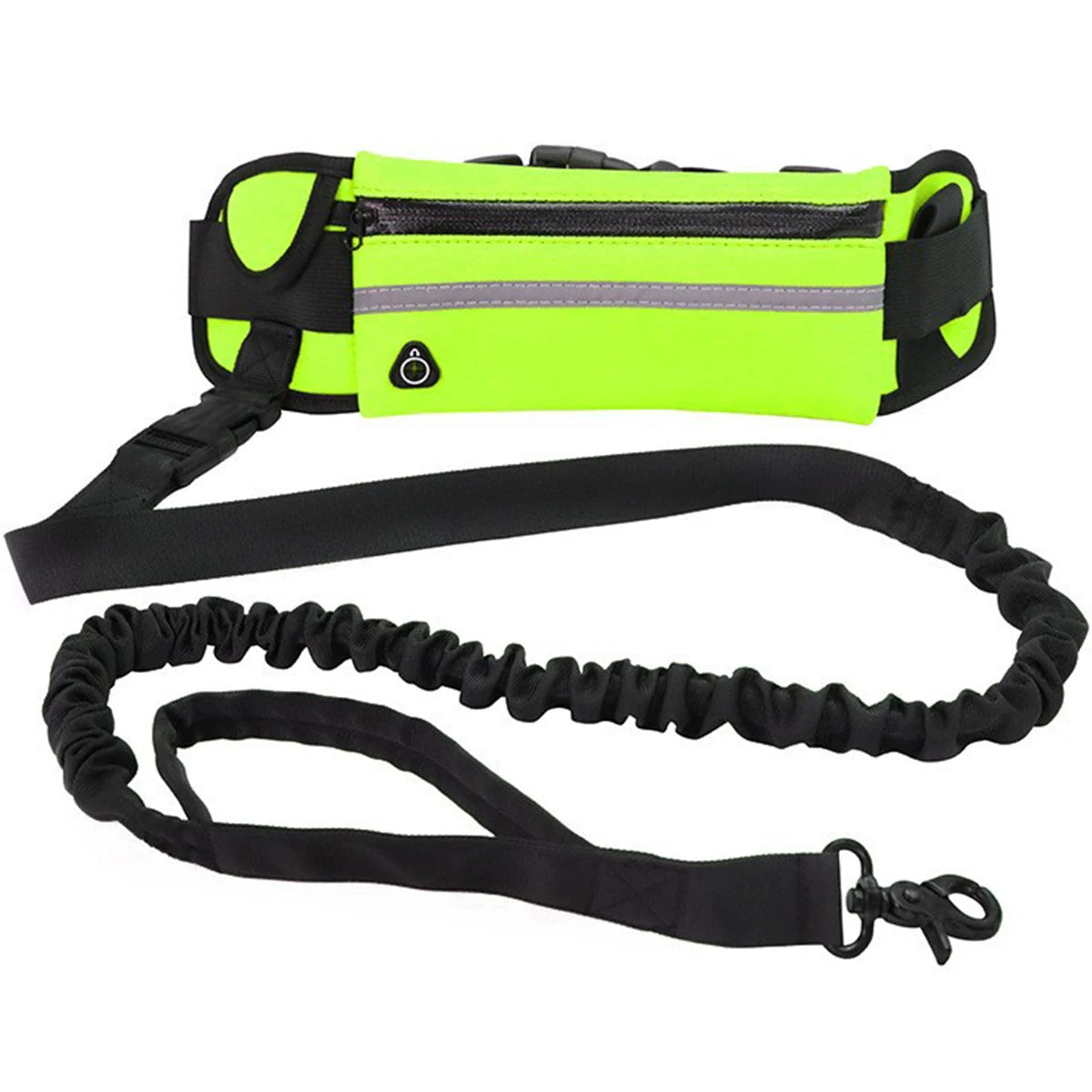 Hands Free Dog Leash for Running