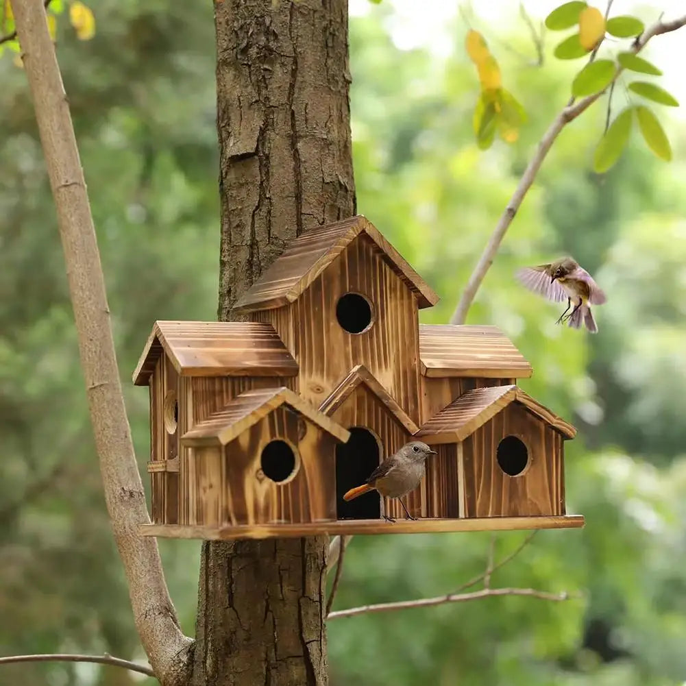 Outside Wooden Bird Nest