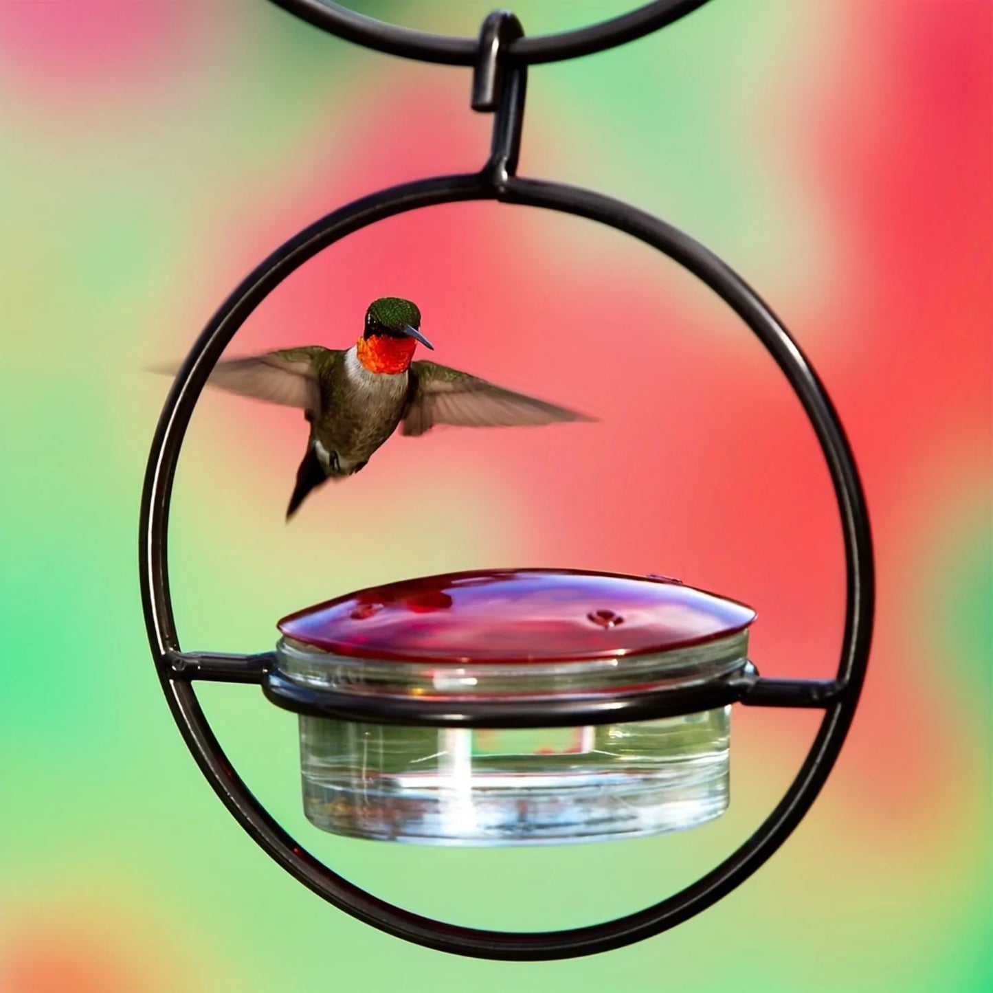 Hanging Hummingbird Feeder,