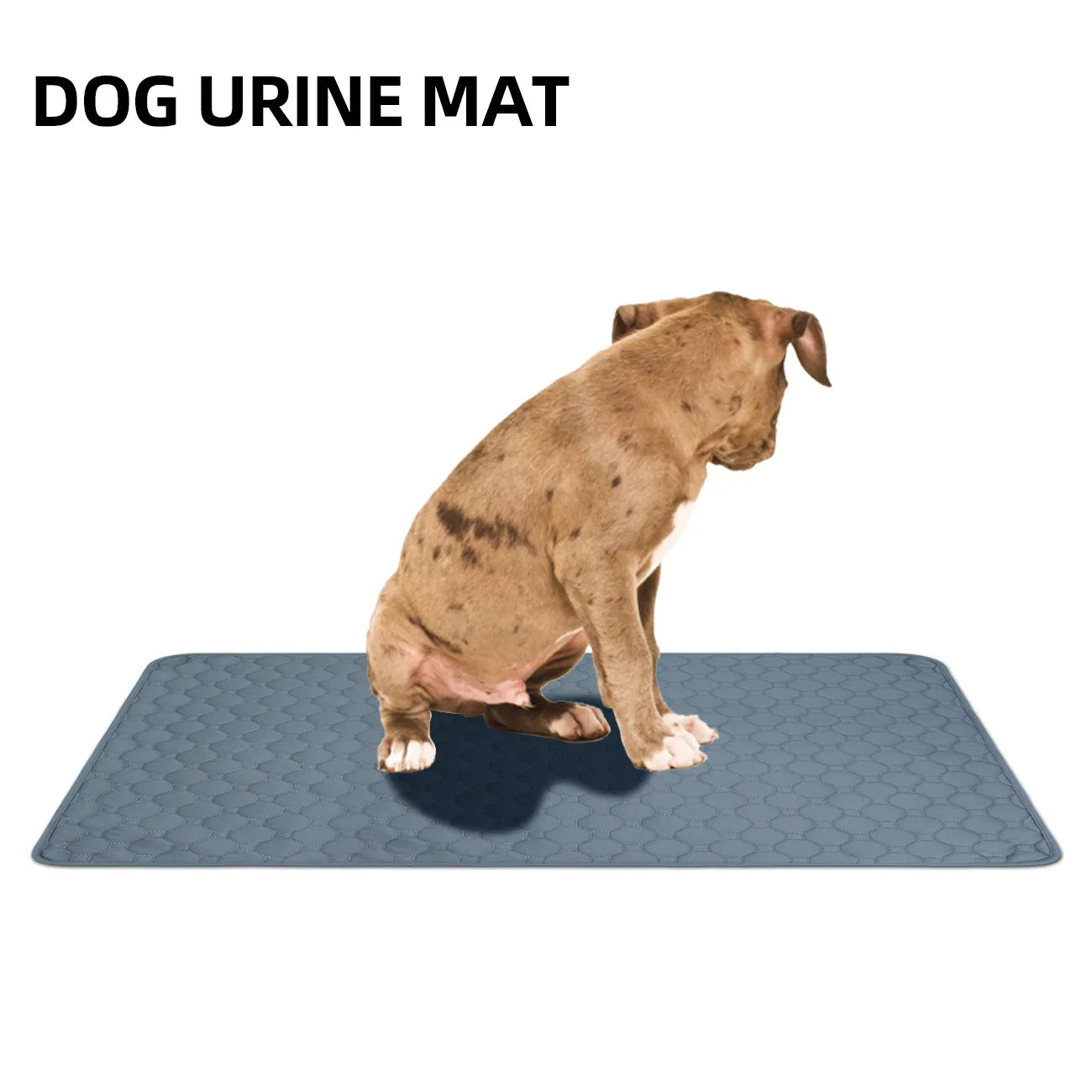 Reusable Dog Pee Pad