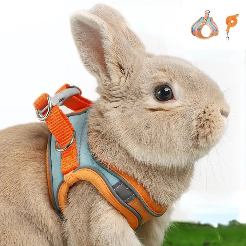 Adjustable Bunny Harness and Leash Set