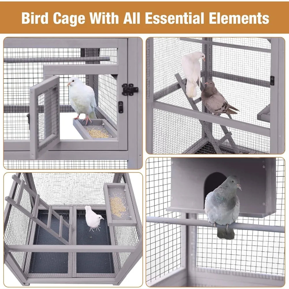 Bird Cage Outdoor