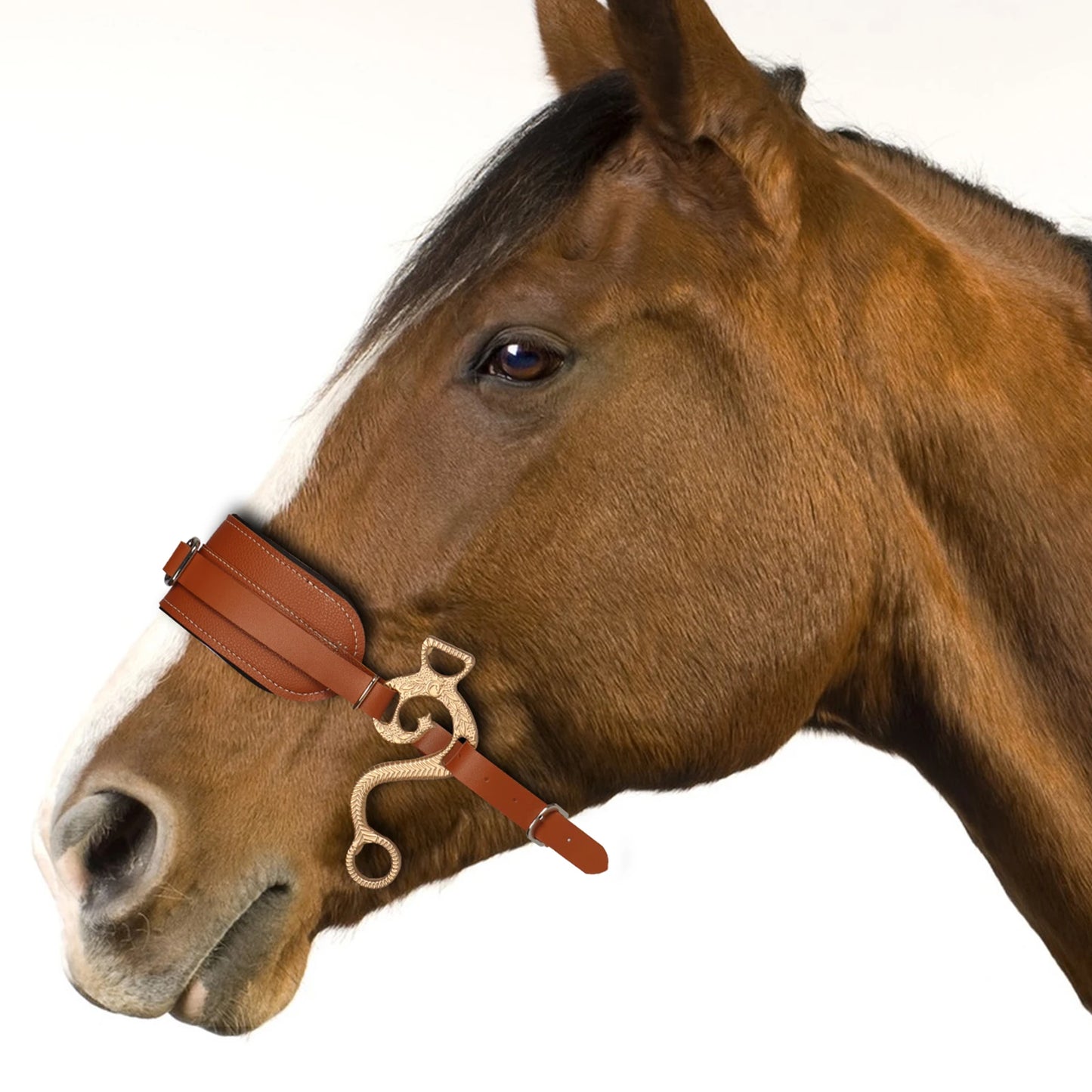 Horse Bit Brown Bridle Leather