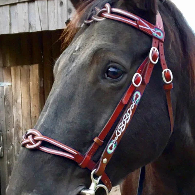 Horse Halters and Lead Ropes