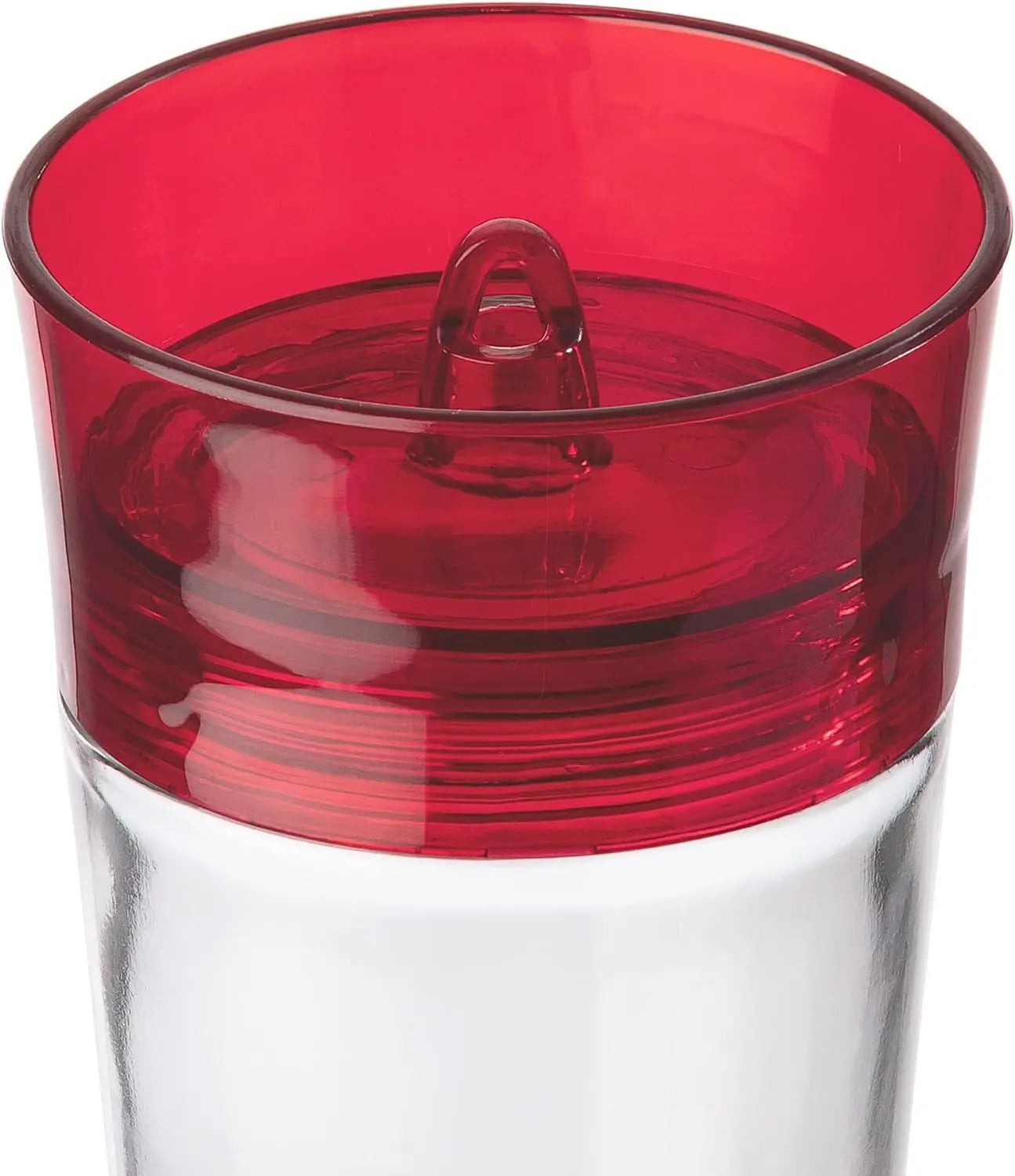 Big Gulp Hummingbird Feeder,