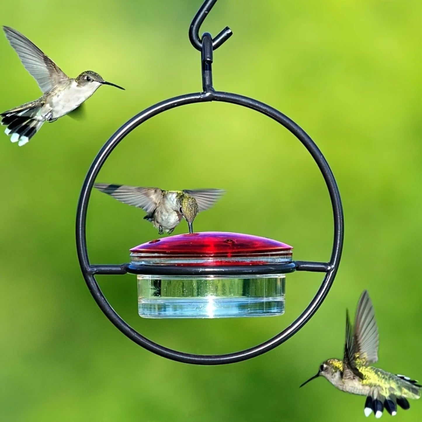 Hanging Hummingbird Feeder,