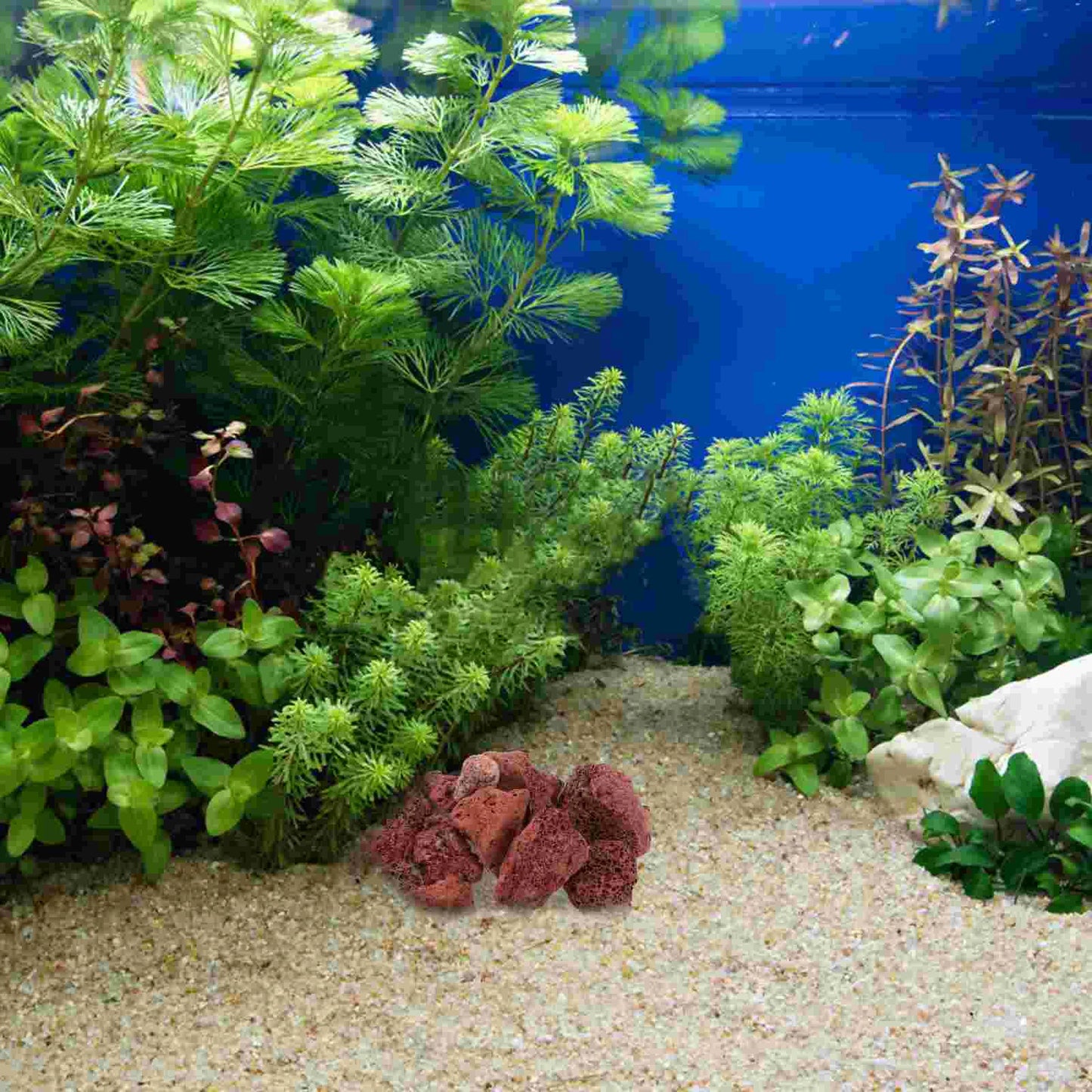 Aquarium Sand