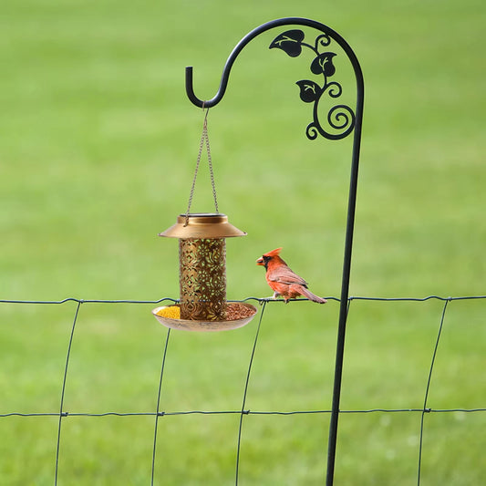 New Solar Bird Feeders with Light